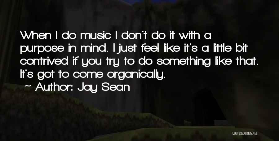 Jay Sean Quotes 1158971