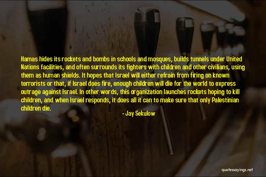 Jay Sekulow Quotes 897976