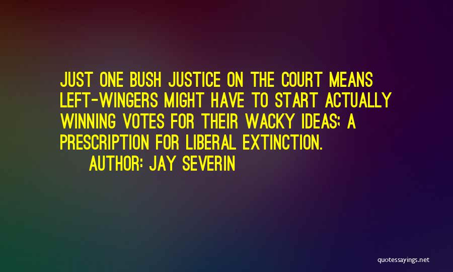 Jay Severin Quotes 772967