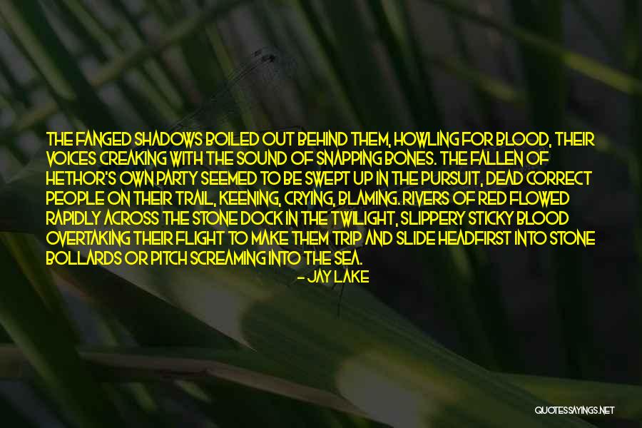 Jay Stone Quotes By Jay Lake Jay Stone Quotes By Jay Lake
