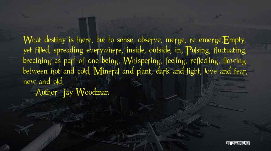 Jay Woodman Quotes 2199115