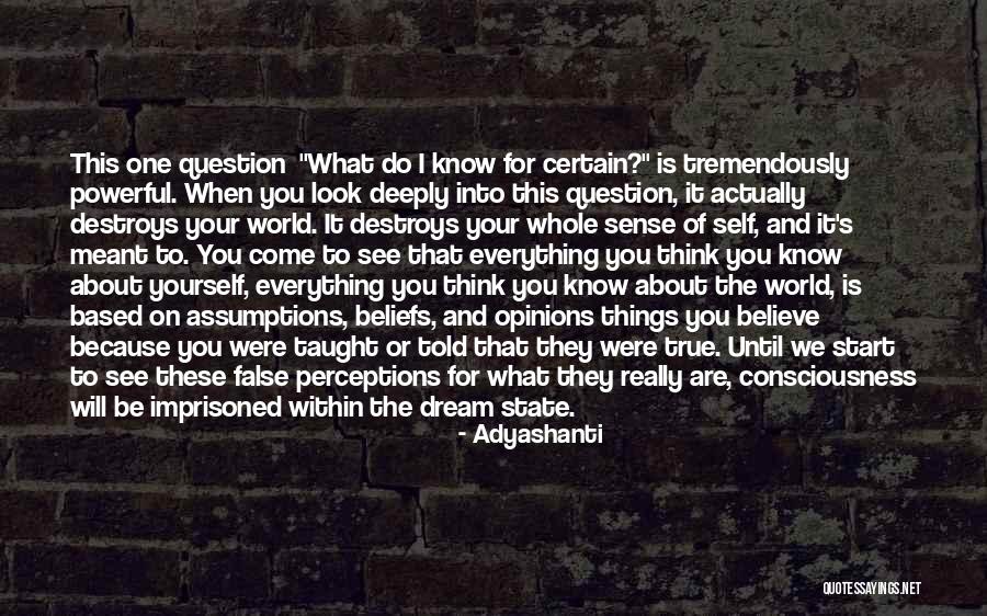 Jay Z Hustle Quotes By Adyashanti Jay Z Hustle Quotes By Adyashanti