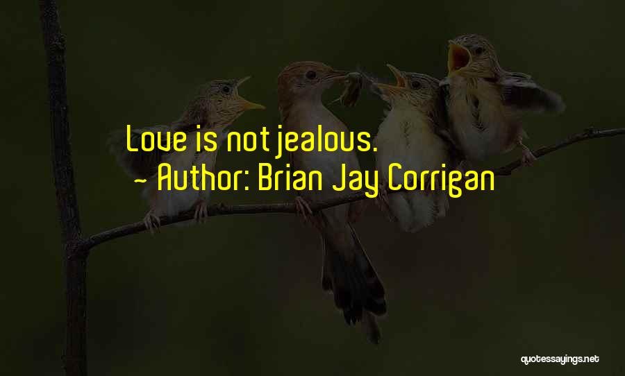 Jay Z Love Quotes By Brian Jay Corrigan