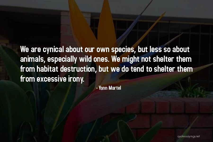 Jayasimha 2019 Quotes By Yann Martel Jayasimha 2019 Quotes By Yann Martel