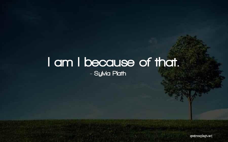 Jaycar Quotes By Sylvia Plath
