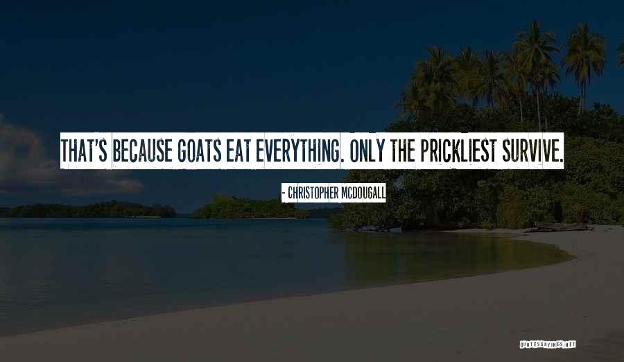 Jayleens Alaska Quotes By Christopher McDougall Jayleens Alaska Quotes By Christopher McDougall