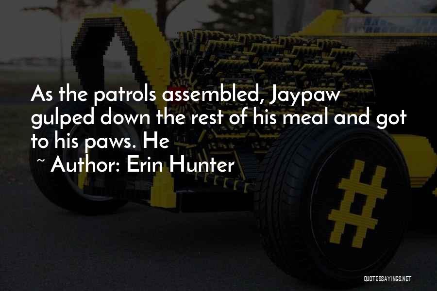 Jaypaw Quotes By Erin Hunter