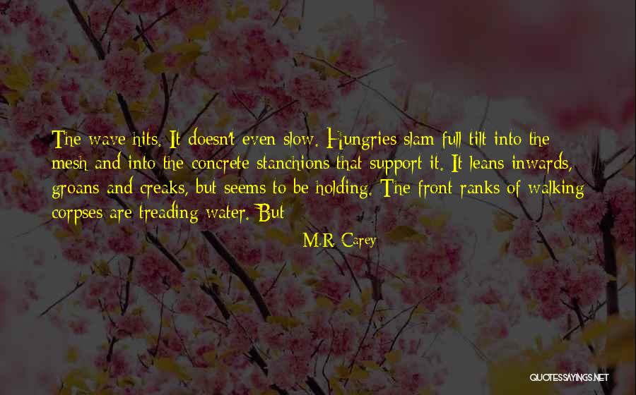 Jayy Von Quotes By M.R. Carey Jayy Von Quotes By M.R. Carey