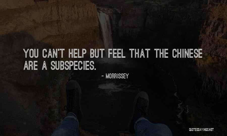 Jazzercise Live Stream Quotes By Morrissey Jazzercise Live Stream Quotes By Morrissey