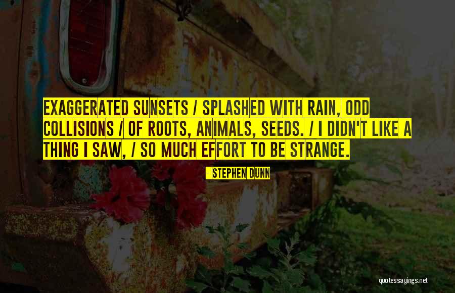 Jazzlene Quotes By Stephen Dunn Jazzlene Quotes By Stephen Dunn