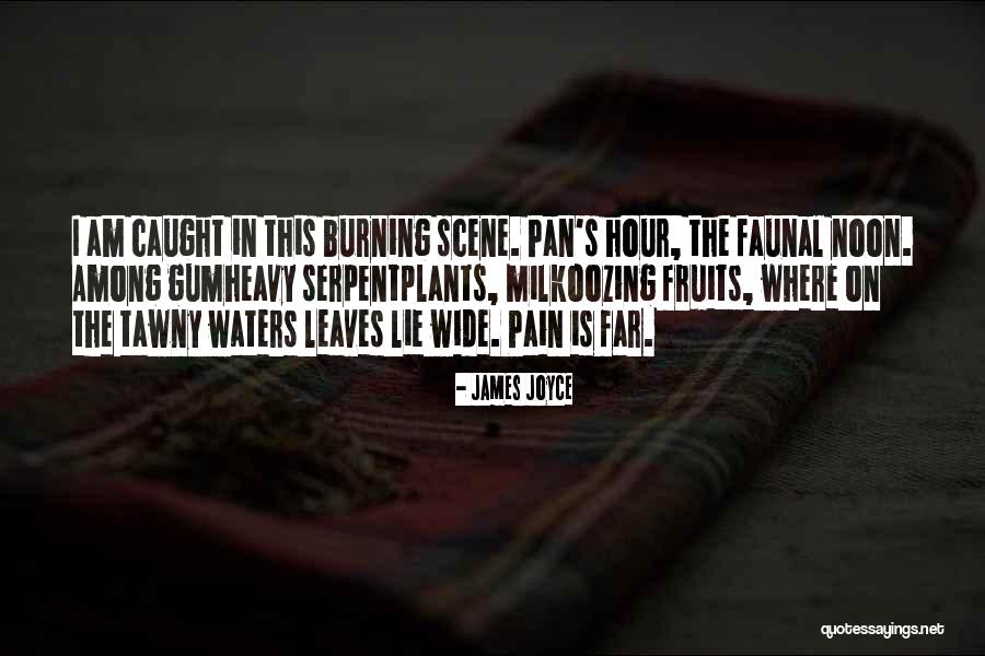 Jazzy Birthday Quotes By James Joyce Jazzy Birthday Quotes By James Joyce