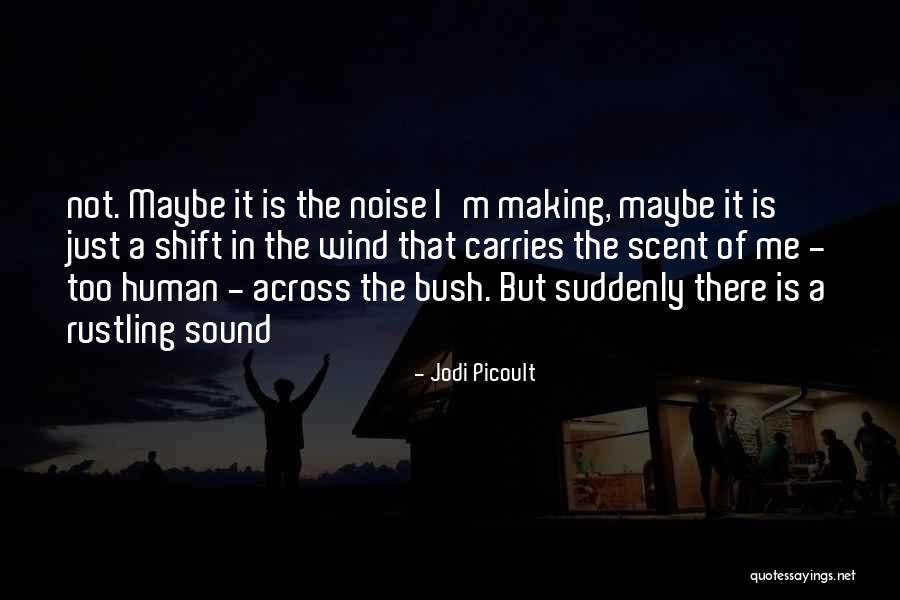 Jd Souther Quotes By Jodi Picoult Jd Souther Quotes By Jodi Picoult