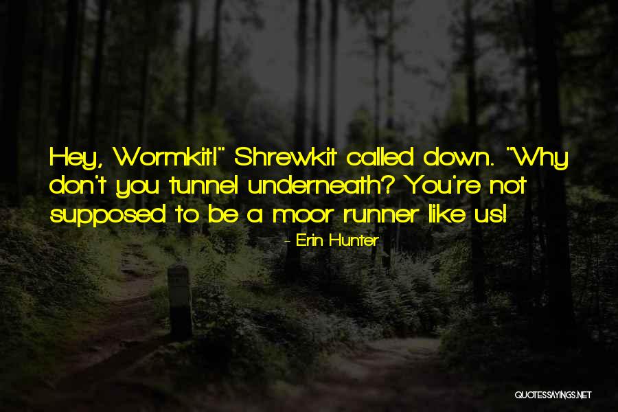 Jdrs Usmc Quotes By Erin Hunter Jdrs Usmc Quotes By Erin Hunter