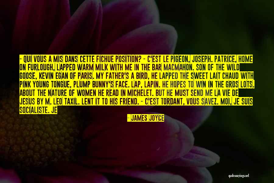 Je Suis Quotes By James Joyce