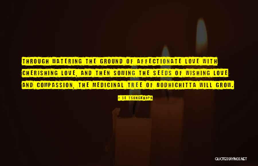Je Tsongkhapa Quotes 1220035 Je Tsongkhapa Quotes 1220035