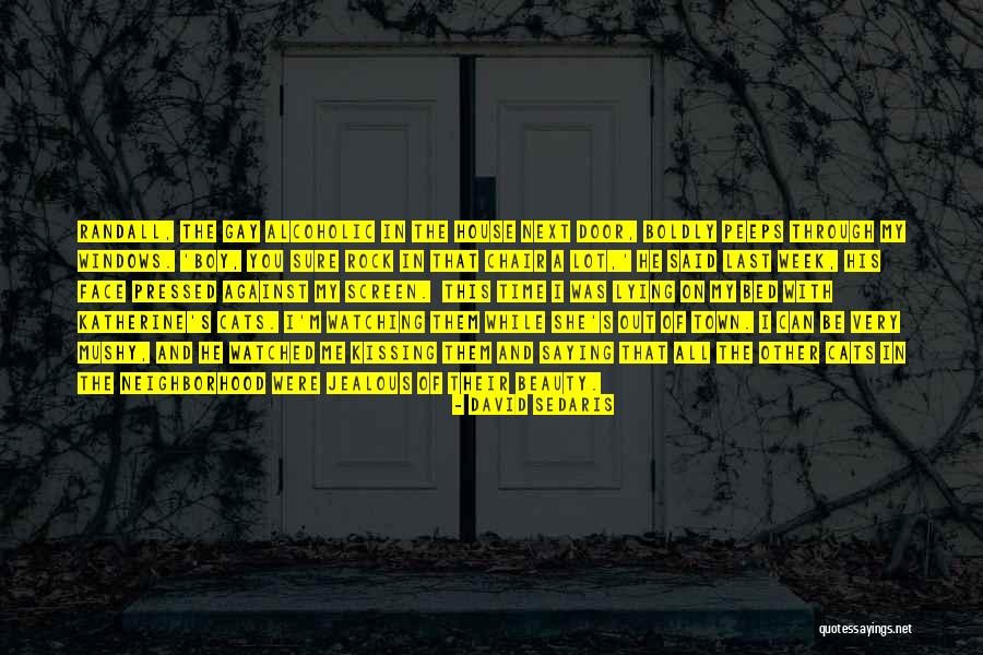 Jealous Of My Beauty Quotes By David Sedaris Jealous Of My Beauty Quotes By David Sedaris