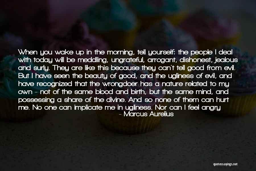 Jealous Of My Beauty Quotes By Marcus Aurelius Jealous Of My Beauty Quotes By Marcus Aurelius