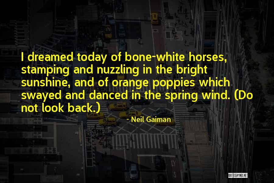 Jealouse Labrinth Quotes By Neil Gaiman Jealouse Labrinth Quotes By Neil Gaiman
