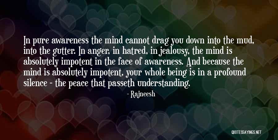 Jealousy And Hatred Quotes By Rajneesh Jealousy And Hatred Quotes By Rajneesh