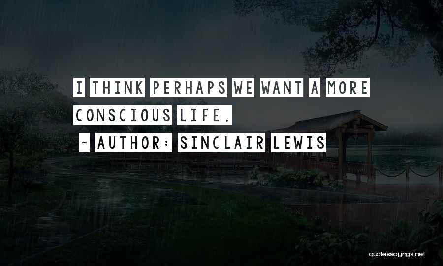 Jealousy And Witchcraft Quotes By Sinclair Lewis