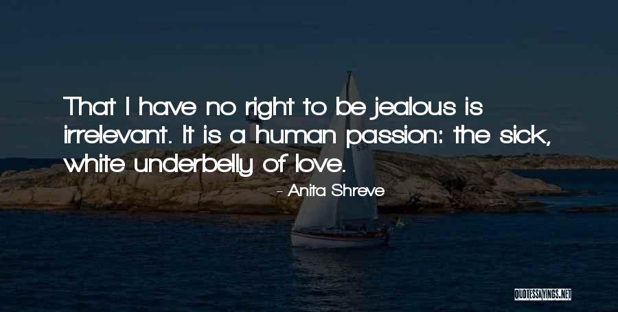 Jealousy In Love Relationships Quotes By Anita Shreve Jealousy In Love Relationships Quotes By Anita Shreve