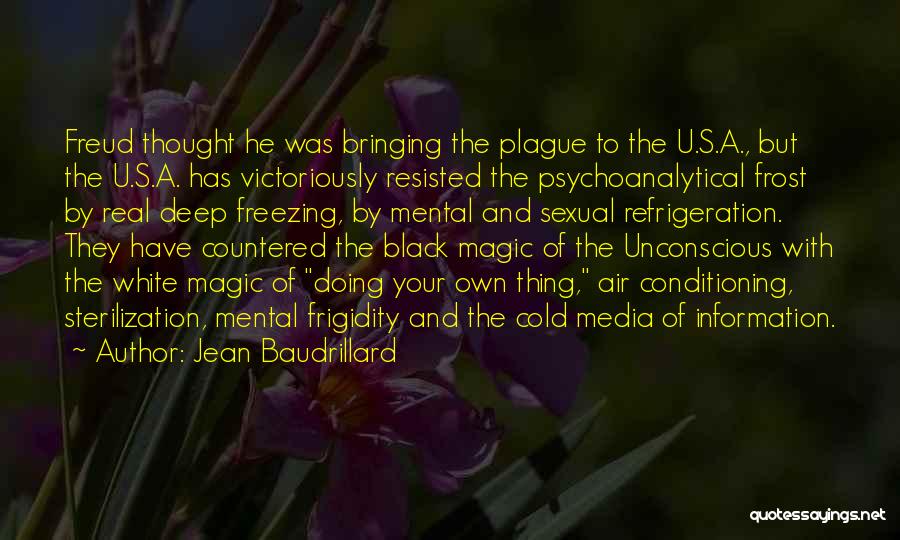 Jean Baudrillard Quotes 114345