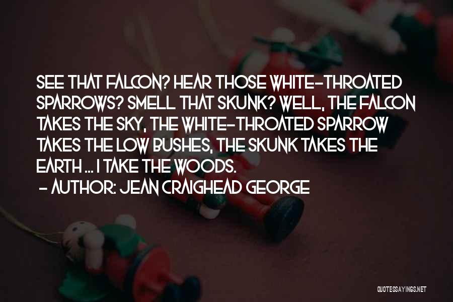 Jean Craighead George Quotes 1410577
