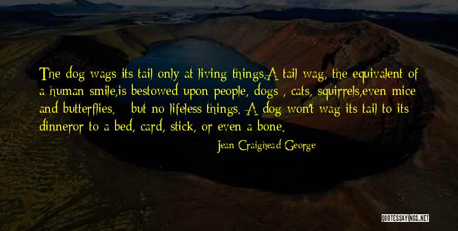 Jean Craighead George Quotes 722550