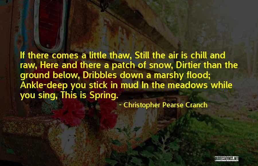 Jean Dominique Butikofer Quotes By Christopher Pearse Cranch Jean Dominique Butikofer Quotes By Christopher Pearse Cranch