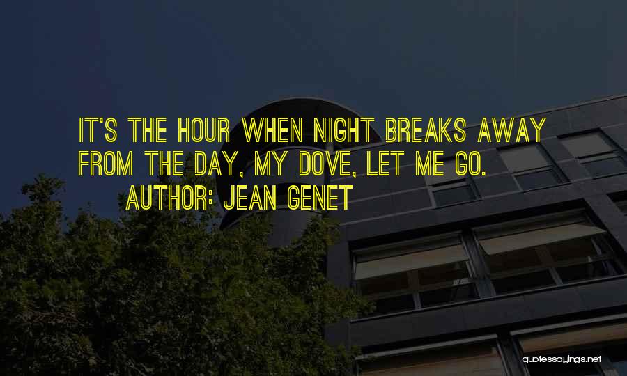 Jean Genet Quotes 1403357