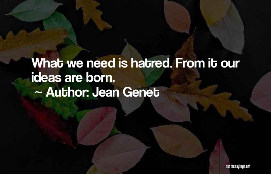 Jean Genet Quotes 162426