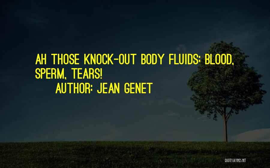 Jean Genet Quotes 2186649