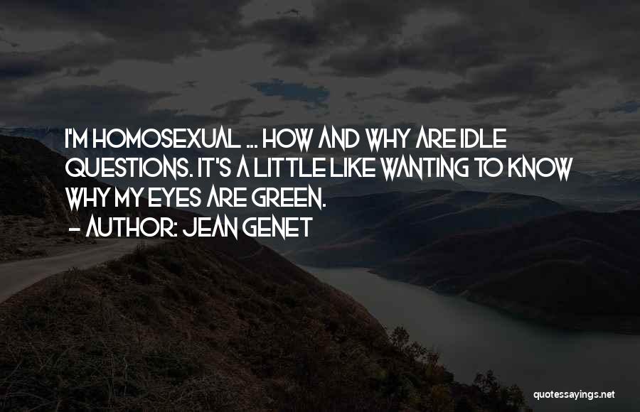 Jean Genet Quotes 694914