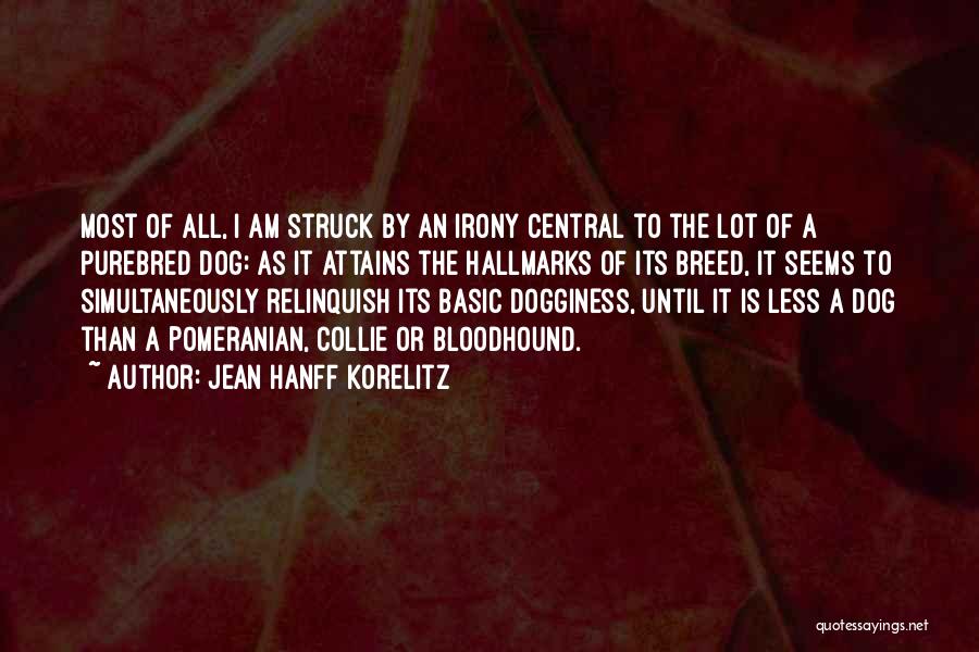 Jean Hanff Korelitz Quotes 1045654