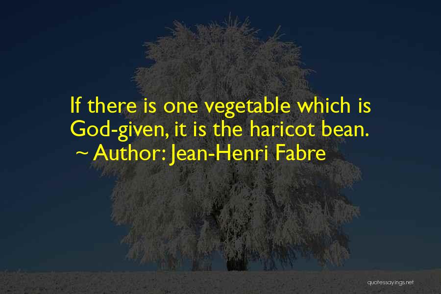 Jean-Henri Fabre Quotes 286625