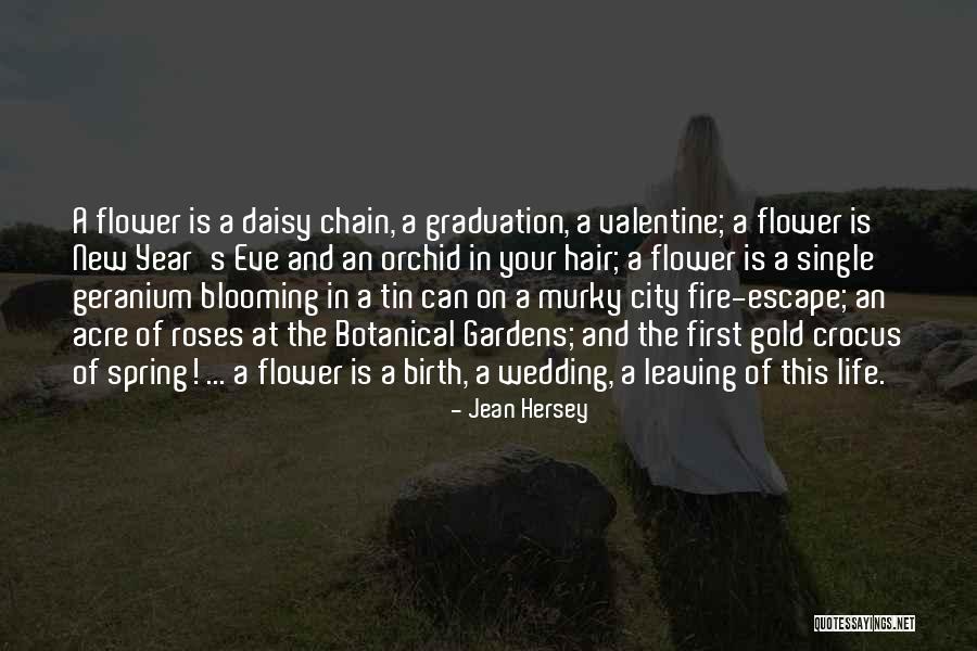 Jean Hersey Quotes 2022908 Jean Hersey Quotes 2022908