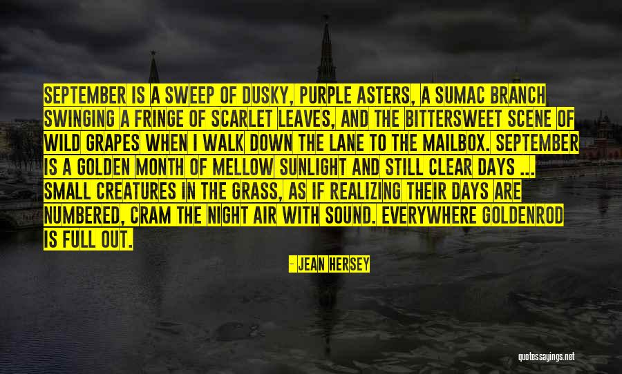 Jean Hersey Quotes 81669 Jean Hersey Quotes 81669