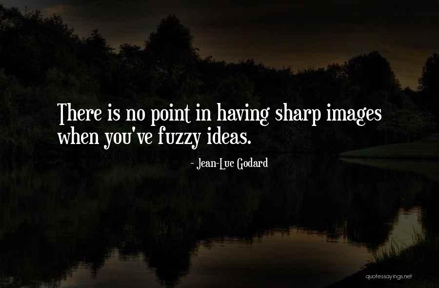 Jean-Luc Godard Quotes 1257480 Jean-Luc Godard Quotes 1257480
