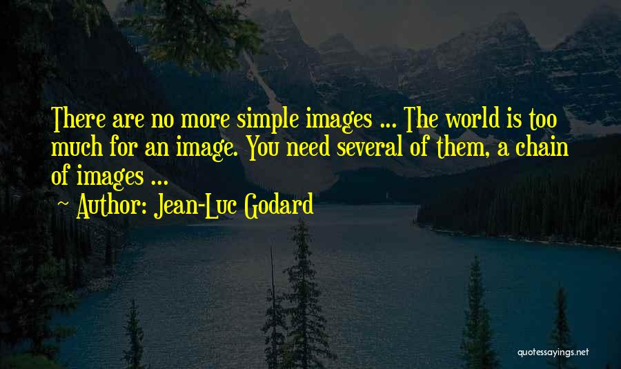 Jean-Luc Godard Quotes 1516787