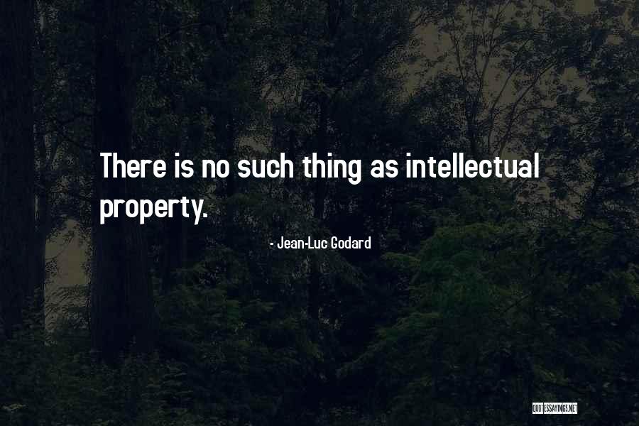 Jean-Luc Godard Quotes 1795236