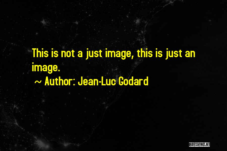 Jean-Luc Godard Quotes 743549