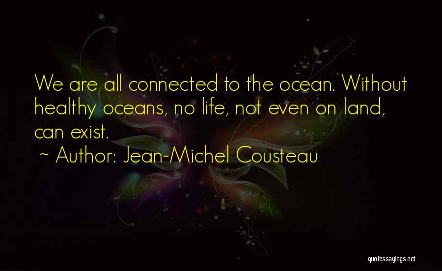 Jean-Michel Cousteau Quotes 1843375