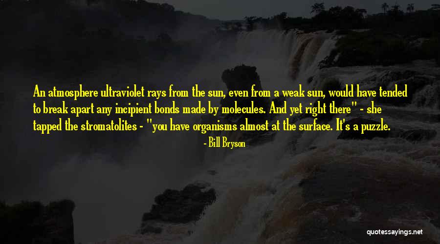 Jeanmaire Molina Quotes By Bill Bryson Jeanmaire Molina Quotes By Bill Bryson