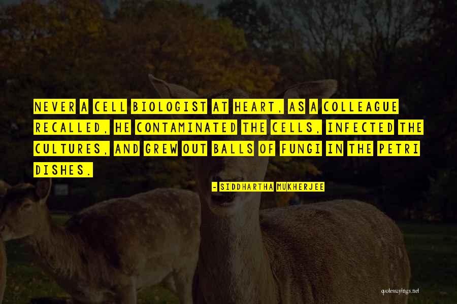 Jeannie Fulbright Quotes By Siddhartha Mukherjee Jeannie Fulbright Quotes By Siddhartha Mukherjee