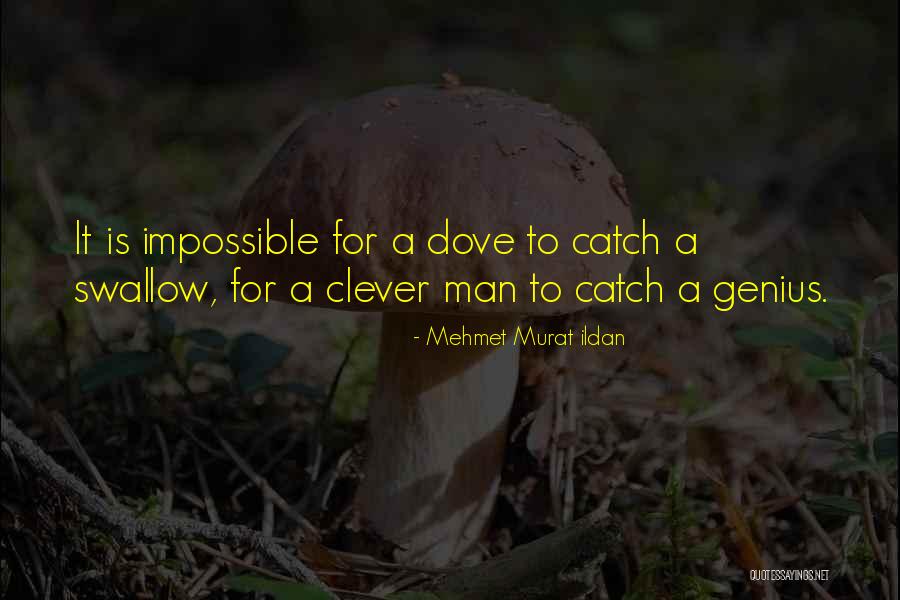 Jecca Barry Quotes By Mehmet Murat Ildan Jecca Barry Quotes By Mehmet Murat Ildan