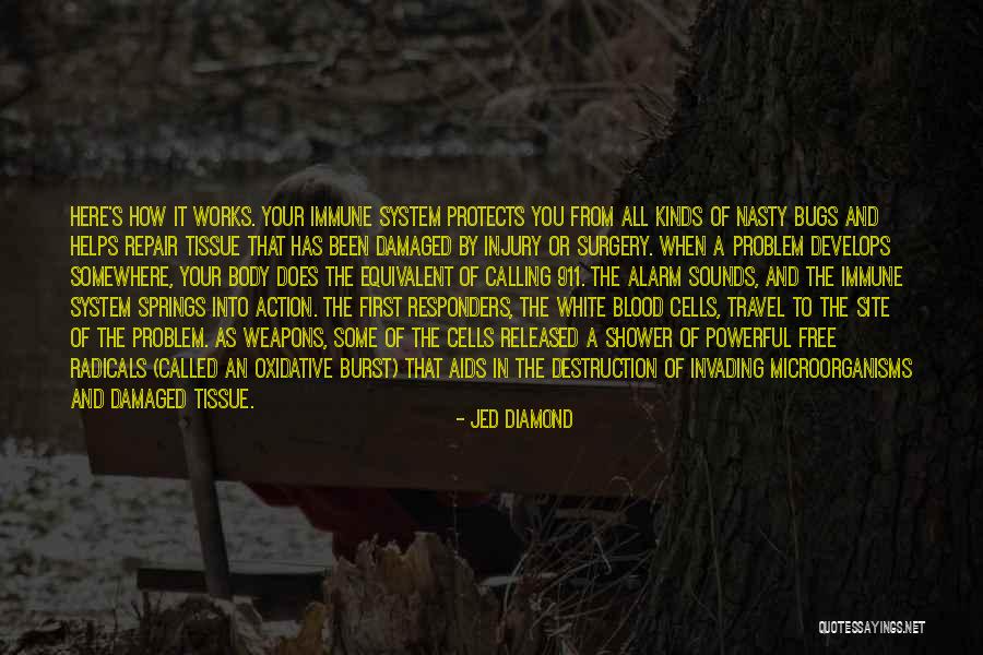 Jed Diamond Quotes 620850 Jed Diamond Quotes 620850