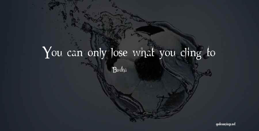Jeddy Quotes By Budha Jeddy Quotes By Budha