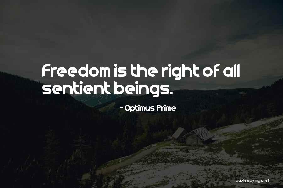 Jednostavna Cista Quotes By Optimus Prime Jednostavna Cista Quotes By Optimus Prime