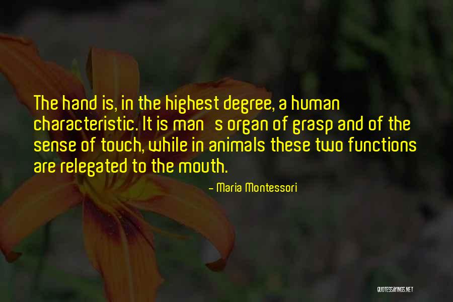 Jeebus Quotes By Maria Montessori Jeebus Quotes By Maria Montessori