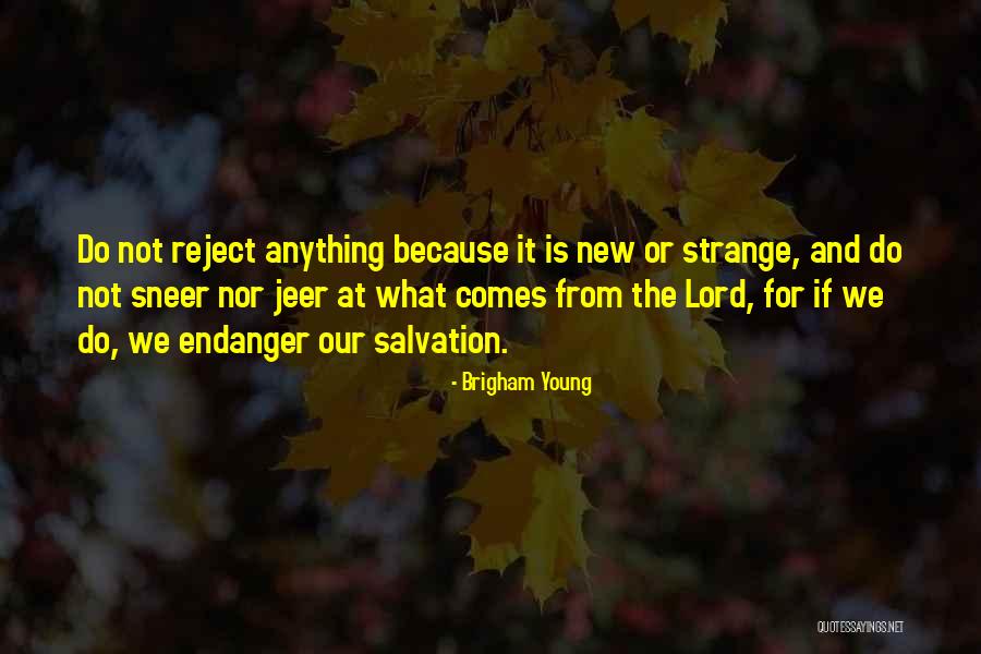 Jeer Quotes By Brigham Young Jeer Quotes By Brigham Young